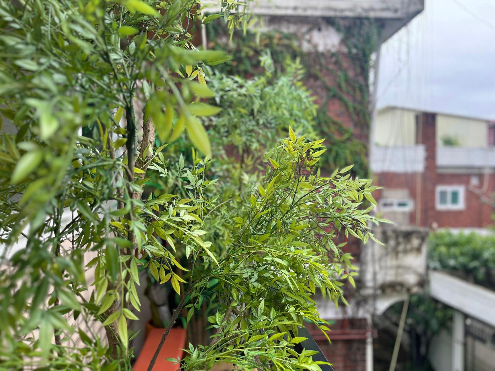 Seoulite Bed & Breakfast Ngoại thất bức ảnh